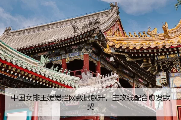 zhong-guo-nv-pai-wang-yuan-yuan-lan-wang-shu-ju-biao-sheng-zhu-gong-xian-pei-he-yu-fa-mo-qi-3-117.jpg